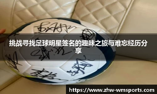 完美体育中文官网